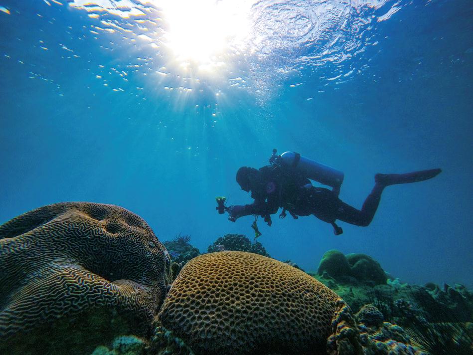 忠誠擔當寫春秋 繼往開來譜新篇——記自然資源部南海局六十年發展歷程