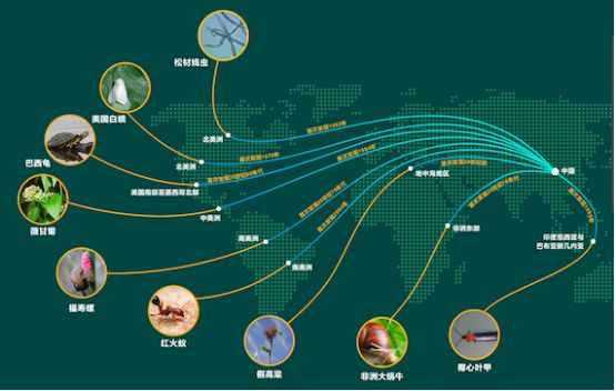 保護生物多樣性 守住自然生態安全邊界