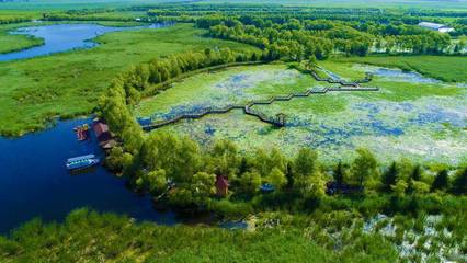 556萬公頃濕地構筑龍江獨特生態 自然生態系統保護管理