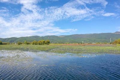 守護高原明珠 云南拉市海國際重要濕地的生態價值與保護實踐